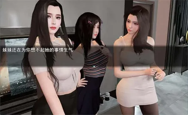 我的幸福人生 中文版 详情图
