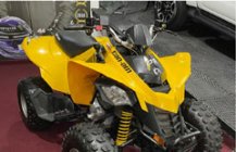 CAN-AM DS250 - 2018 