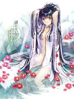 无颜之月-待宵双椿 攻略要点 内容截图